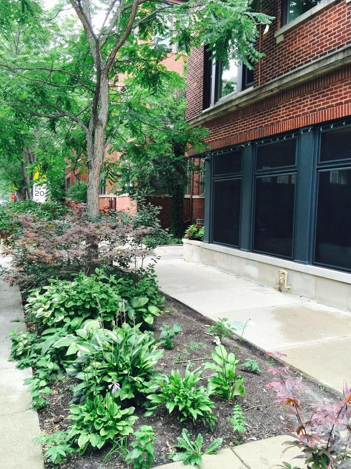 House 5863- Chicago'S Premier Bed And Breakfast Esterno foto